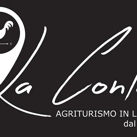 La Conte ルッカ