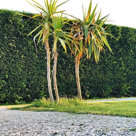 Vakantieboerderij La Conte