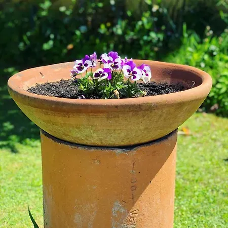 Séjour à la ferme La Conte Lucques